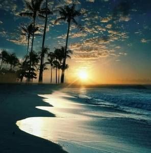 Meet your Posher, Tim